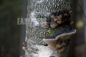 EA068559, Eastpress, Porvoo, Suomi